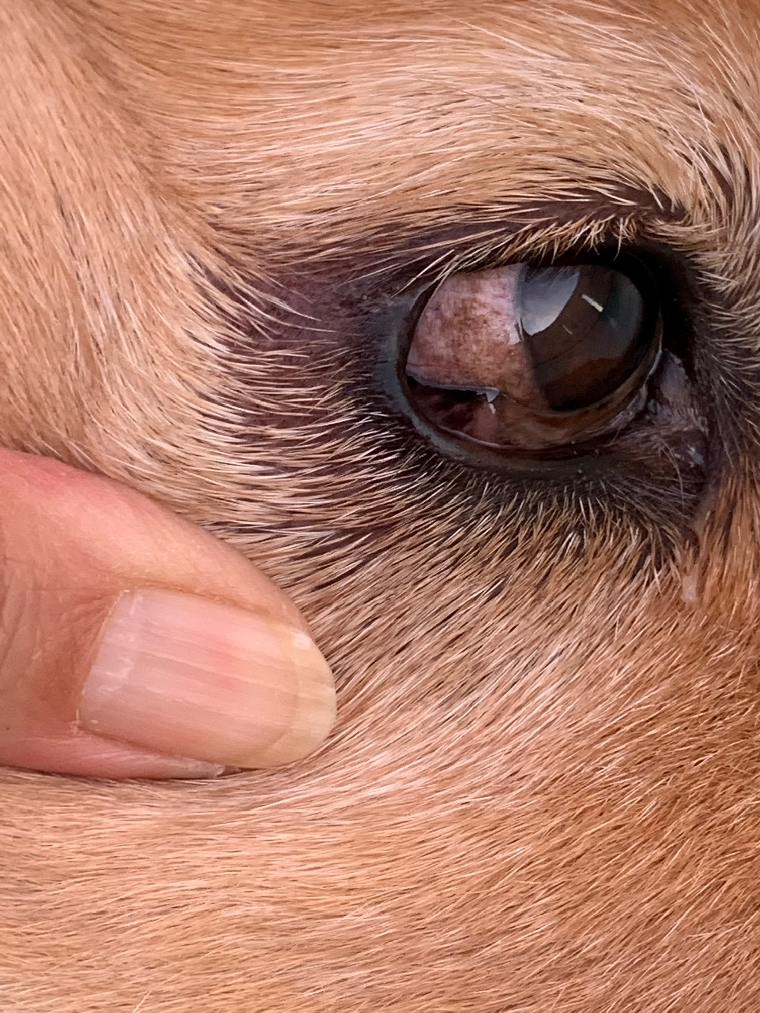 ファイル 8434-4.jpg