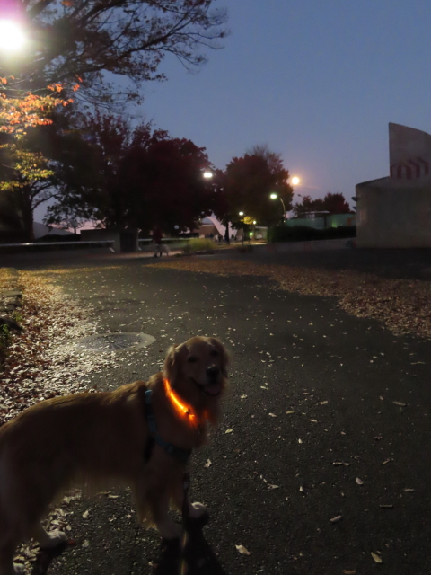 ファイル 8436-2.jpg