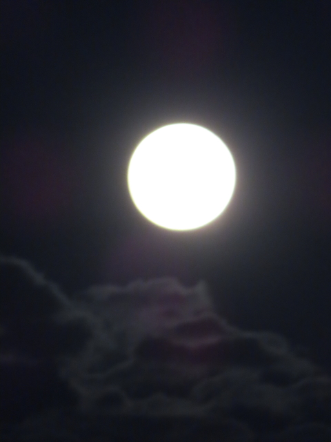 ファイル 8436-3.jpg