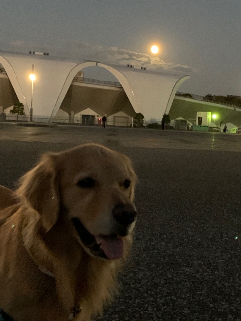 ファイル 8436-4.jpg