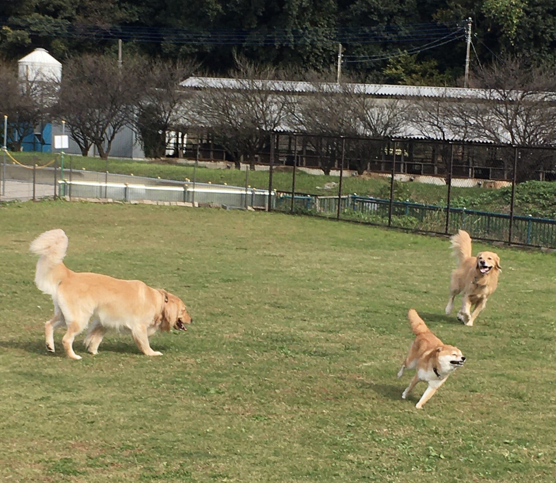 ファイル 8437-2.jpeg