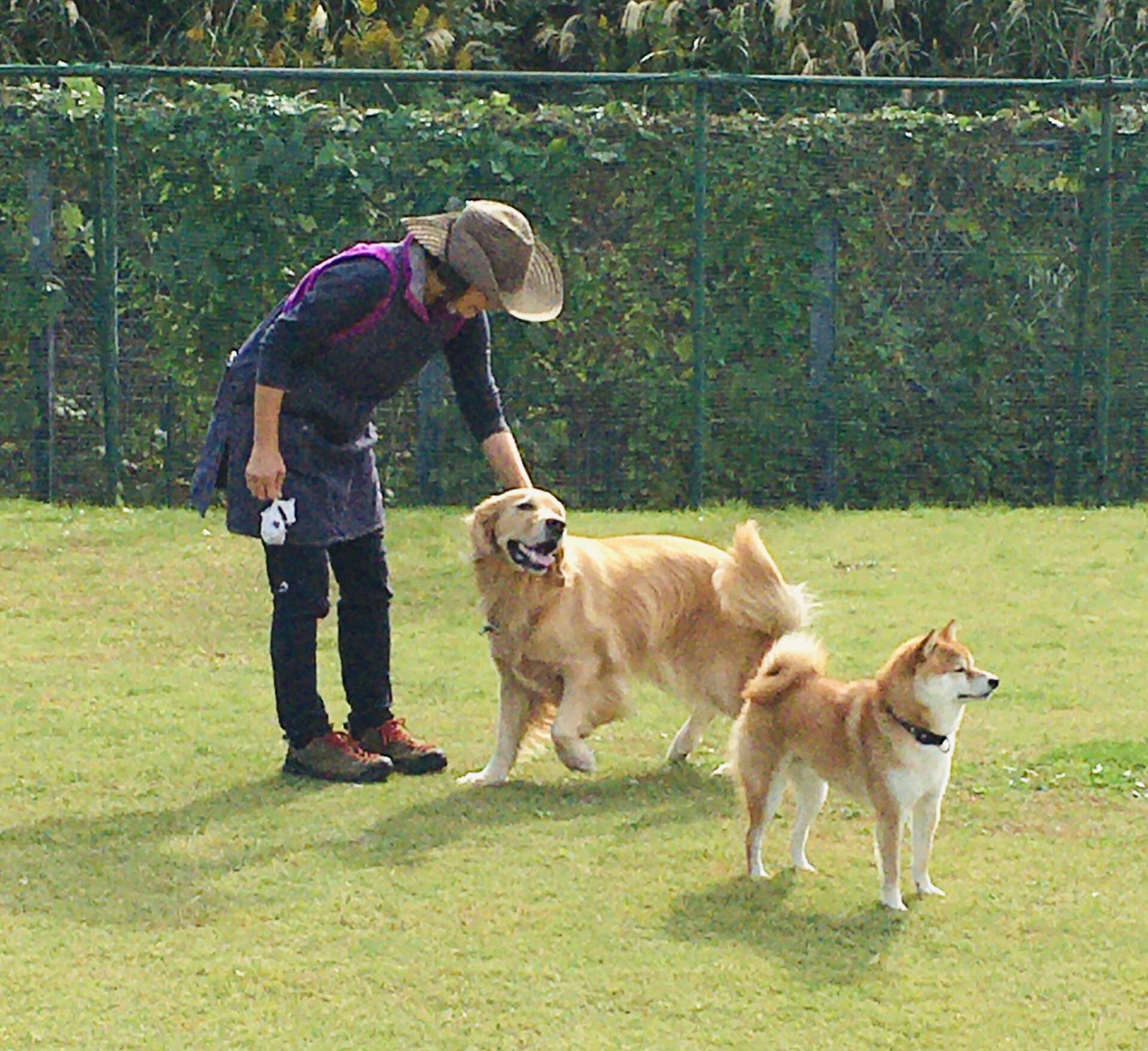 ファイル 8437-3.jpeg