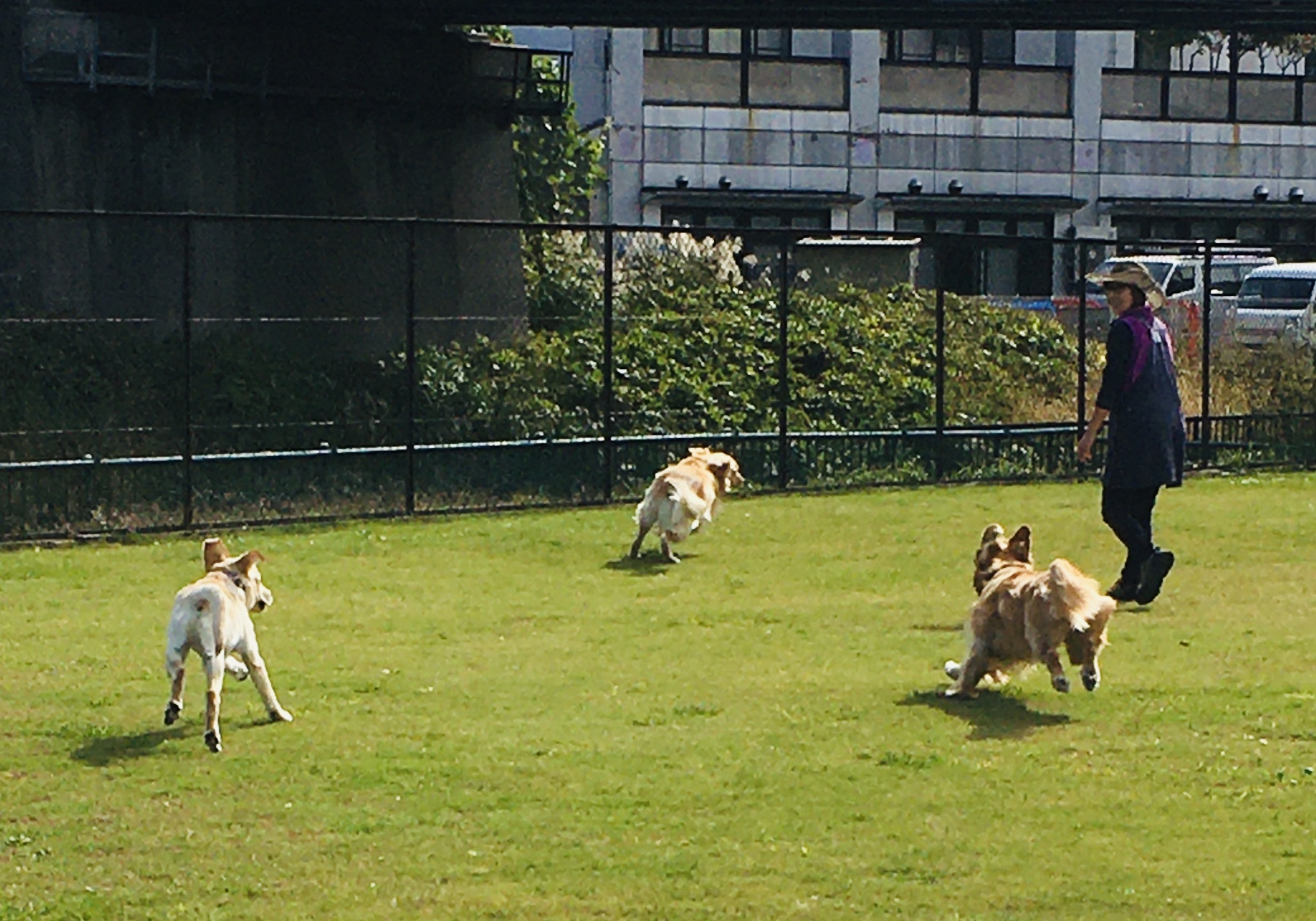 ファイル 8437-4.jpeg