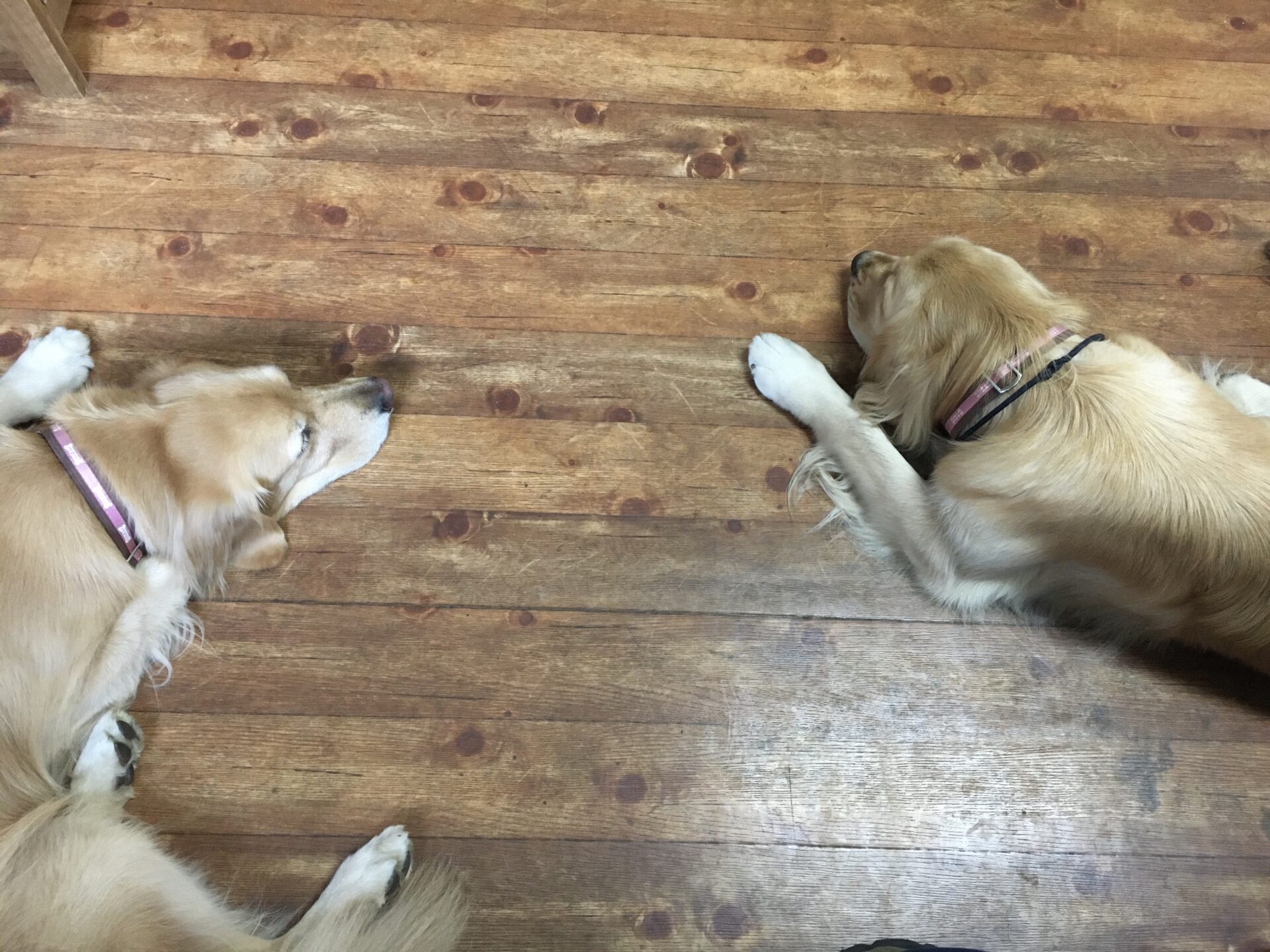 ファイル 8437-5.jpeg