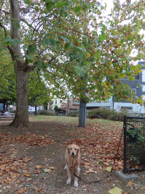 ファイル 8440-1.jpg