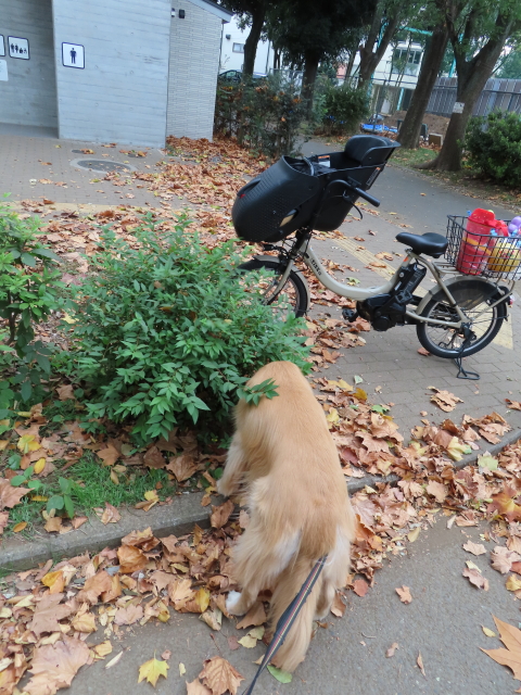 ファイル 8440-2.jpg