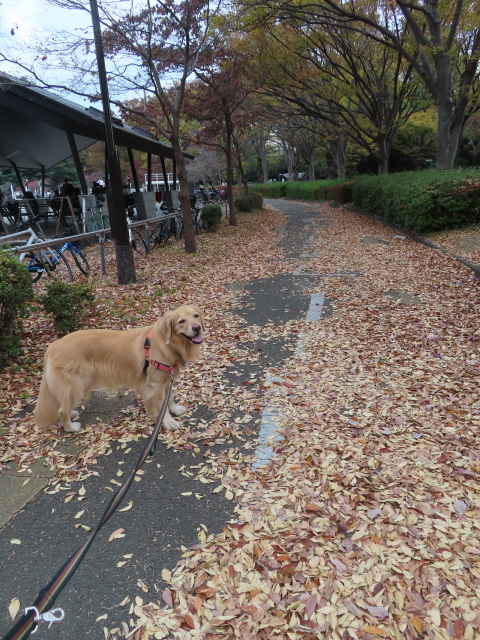 ファイル 8440-5.jpg