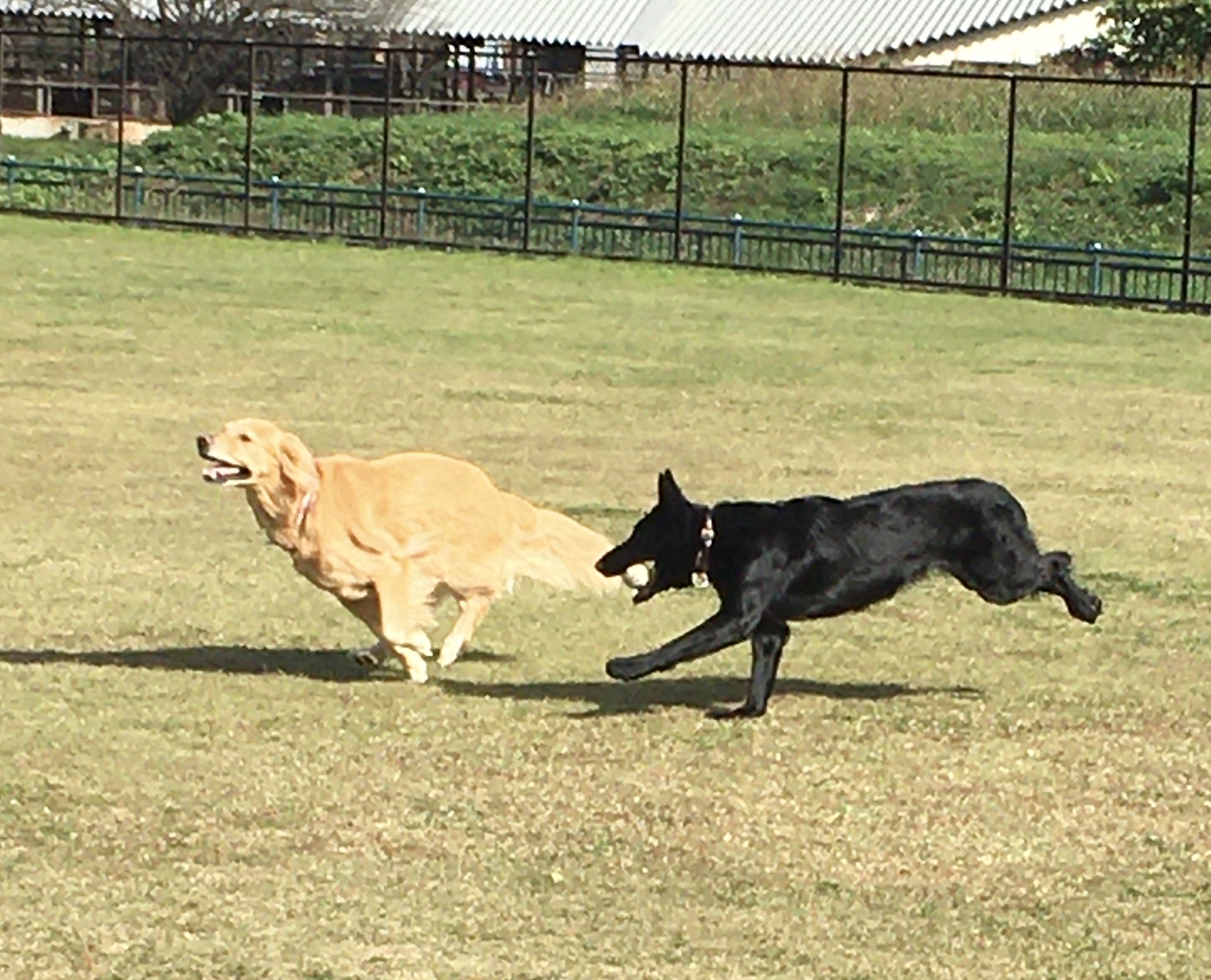 ファイル 8442-1.jpeg