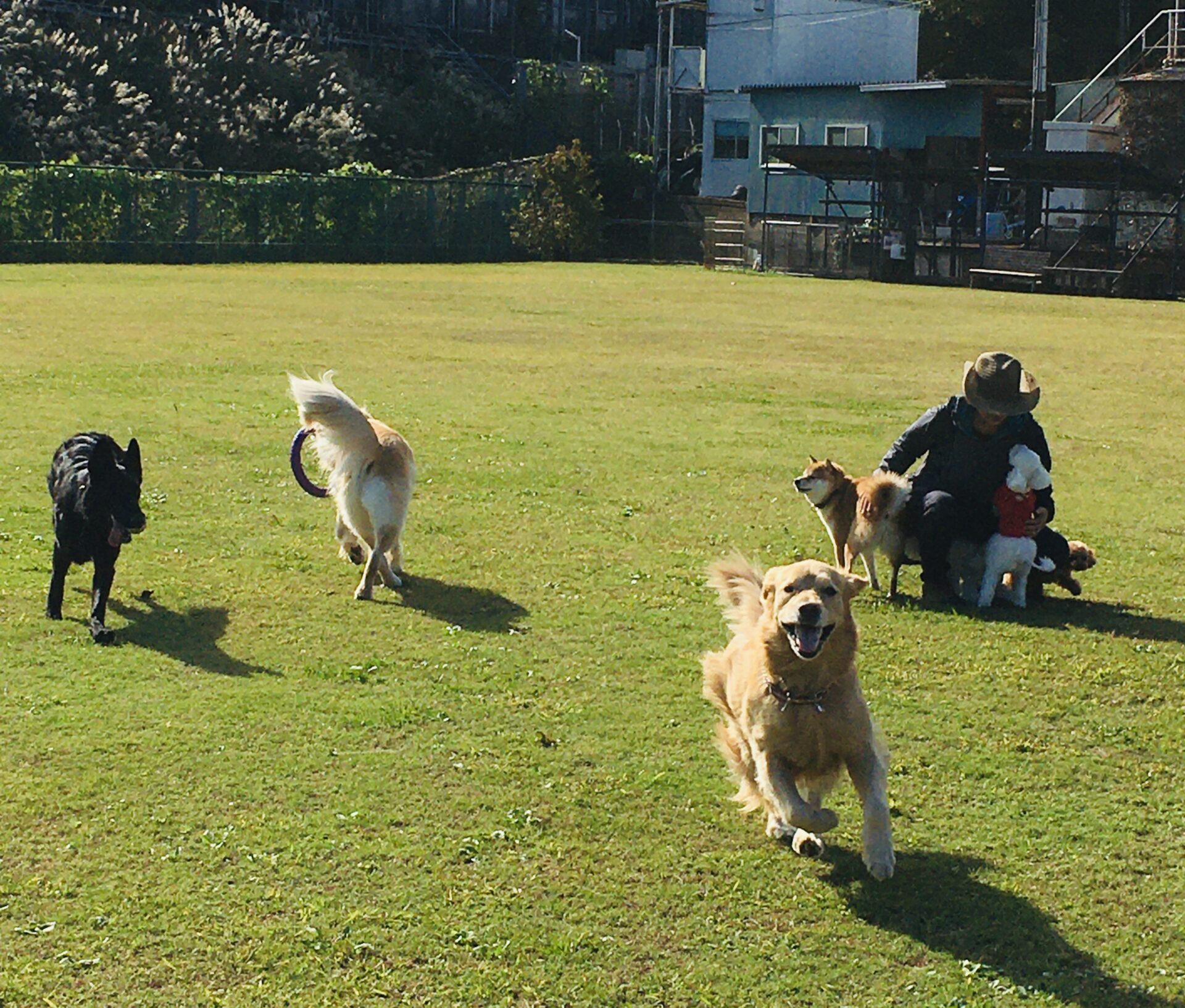 ファイル 8442-2.jpeg