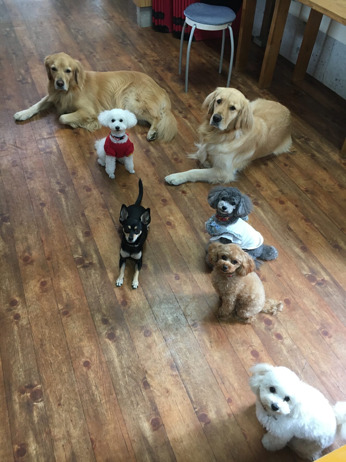 ファイル 8442-3.jpeg