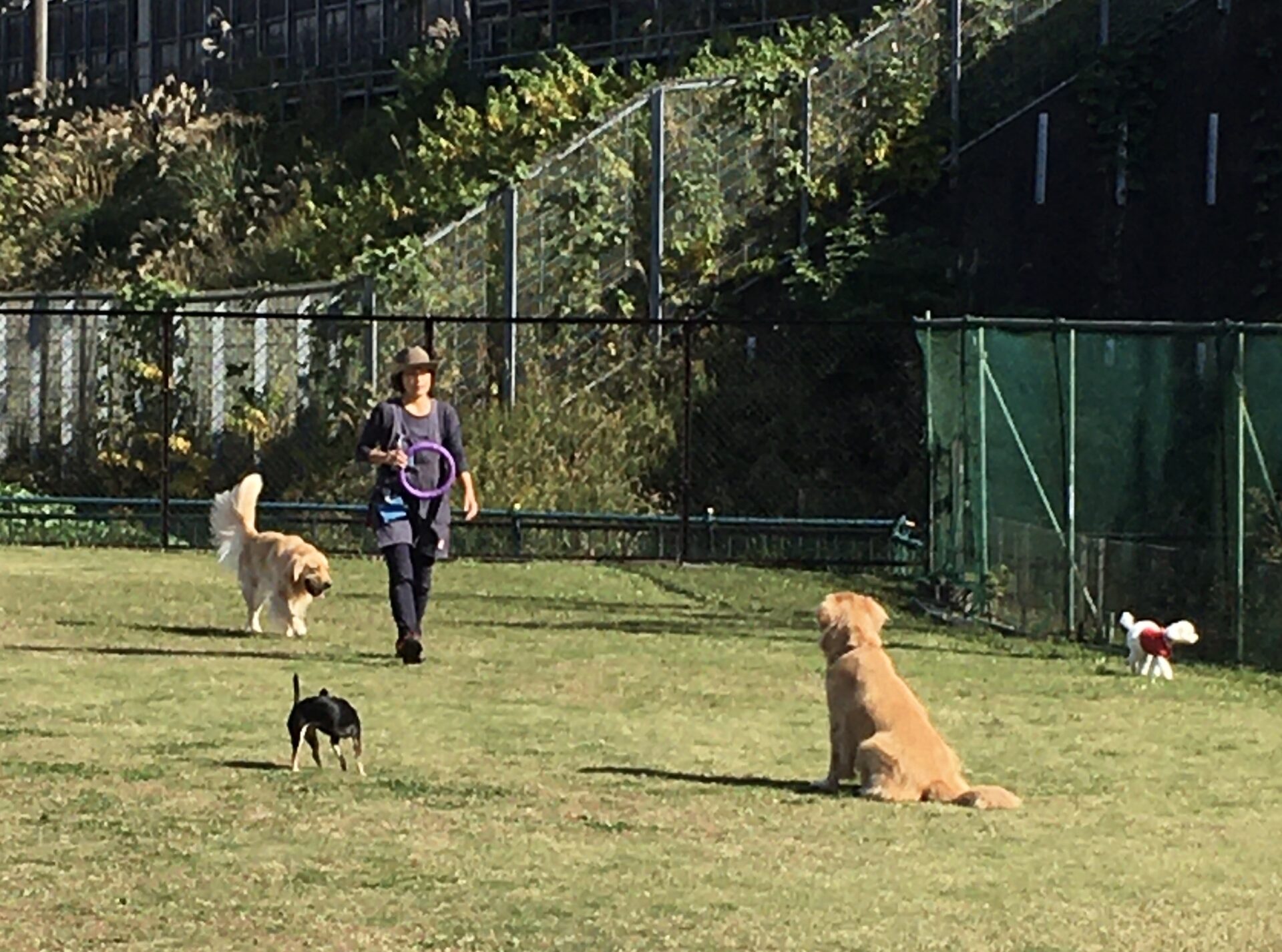 ファイル 8442-4.jpeg