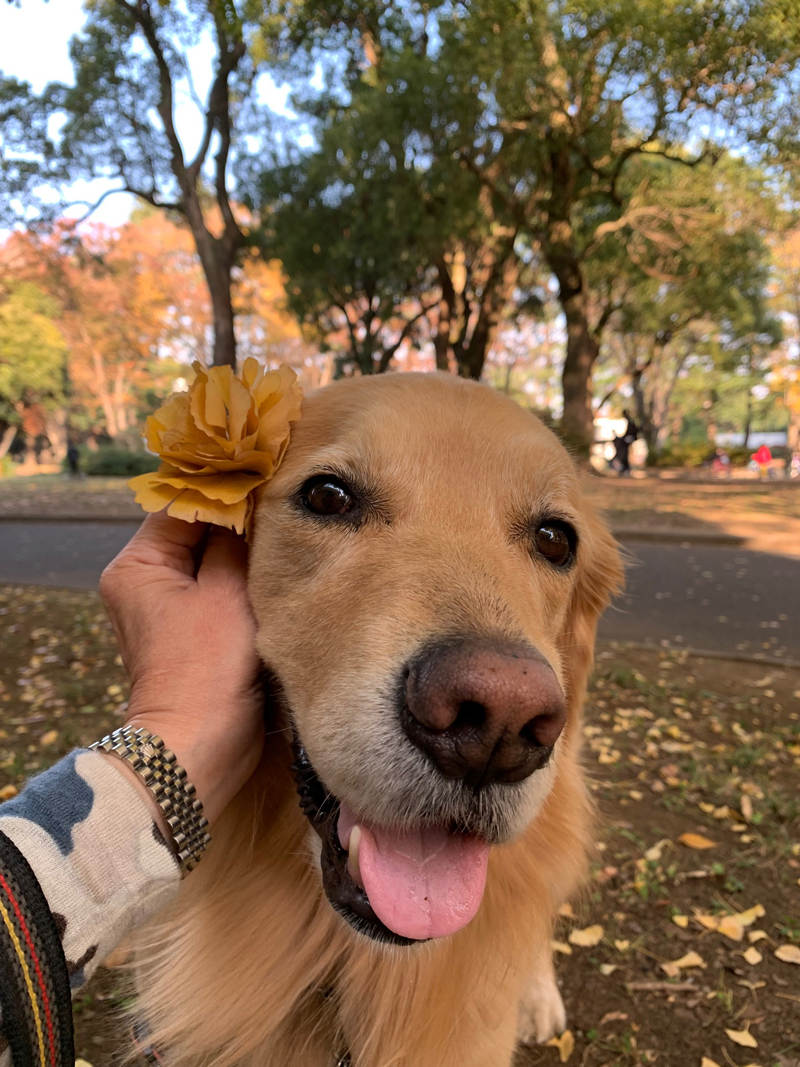 ファイル 8444-1.jpg