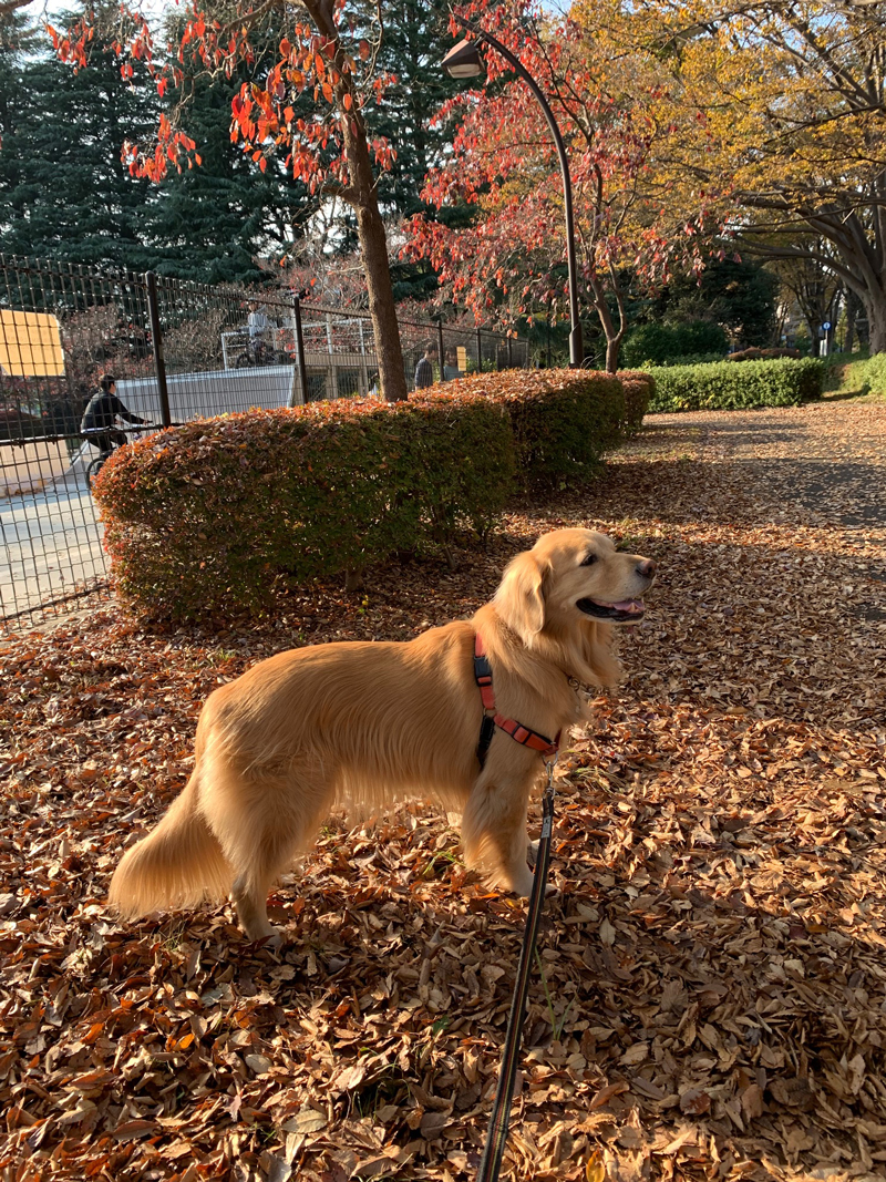 ファイル 8444-4.jpg