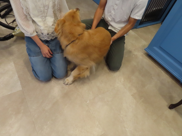 ファイル 8445-1.jpg