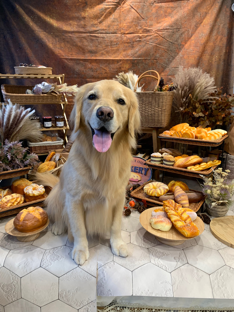 ファイル 8445-2.jpg