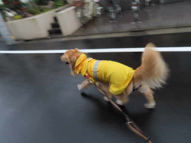 ファイル 8445-4.jpg