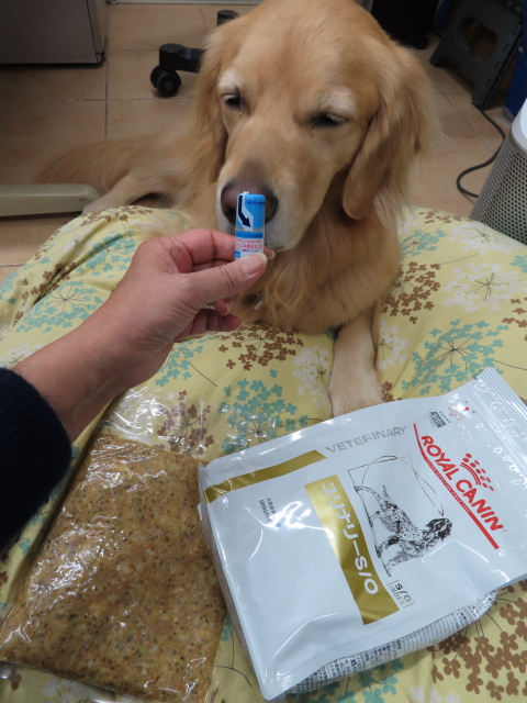 ファイル 8448-5.jpg