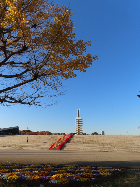 ファイル 8449-1.jpg