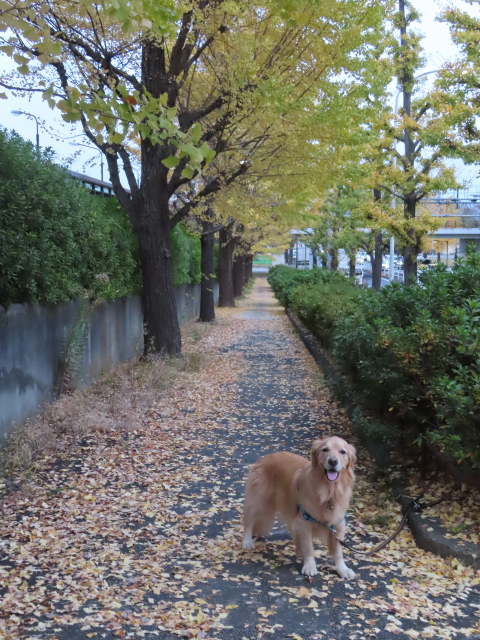 ファイル 8449-3.jpg