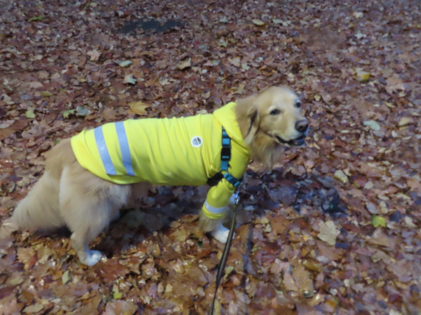 ファイル 8450-3.jpg