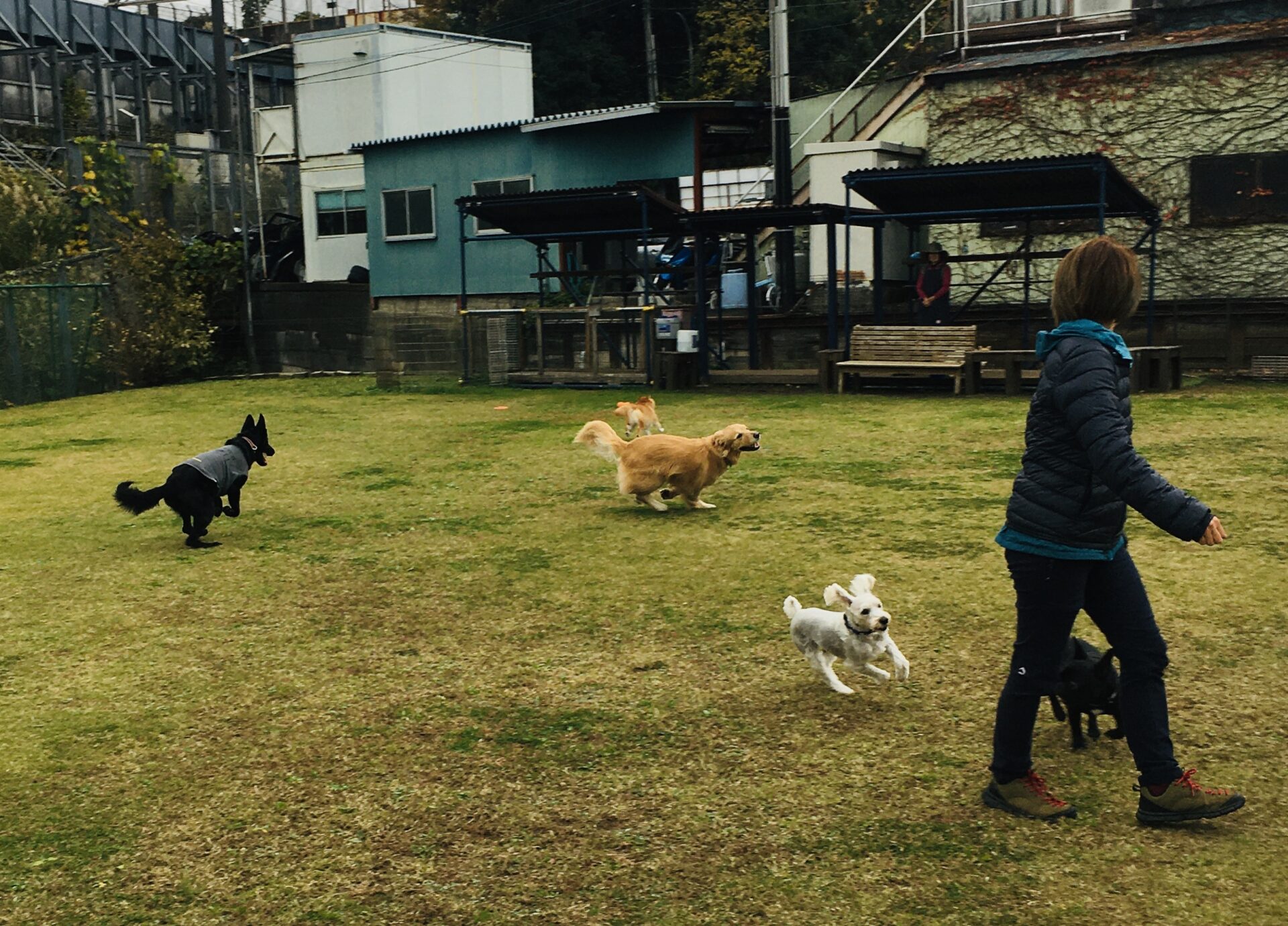 ファイル 8451-4.jpeg