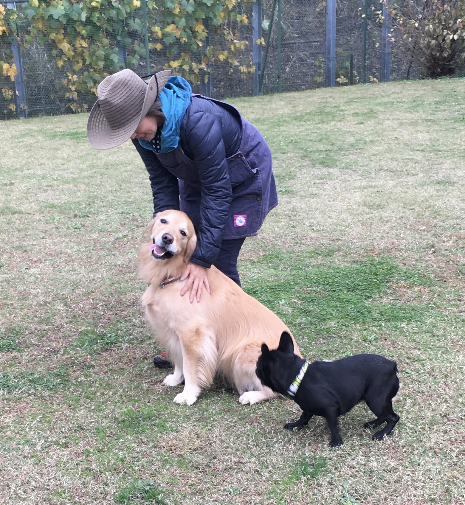 ファイル 8451-5.jpeg