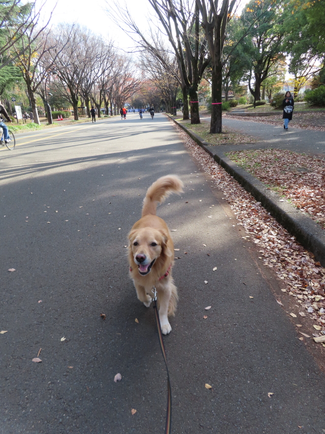 ファイル 8452-3.jpg