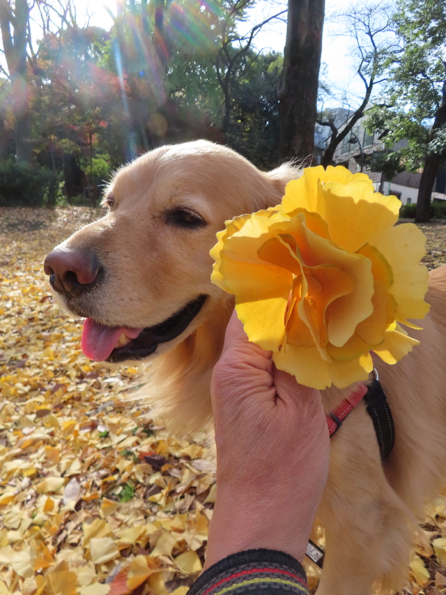 ファイル 8452-4.jpg