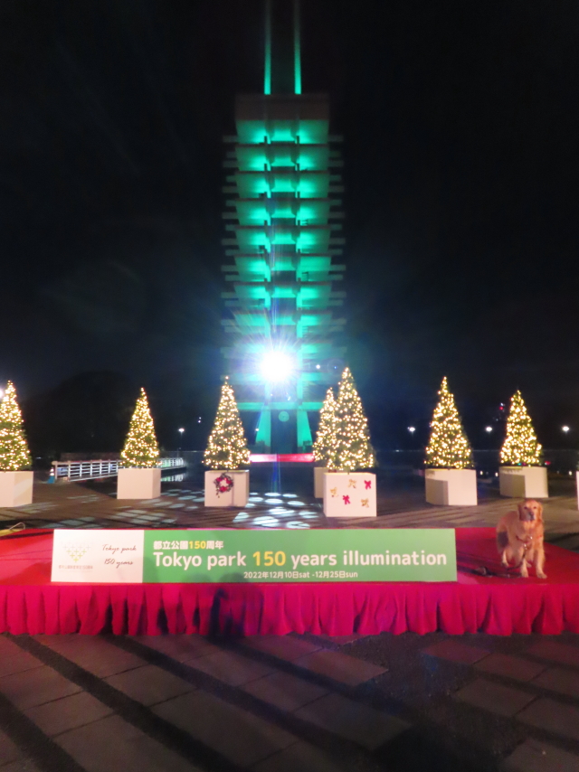 ファイル 8454-1.jpg