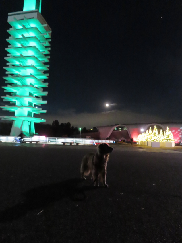 ファイル 8454-2.jpg