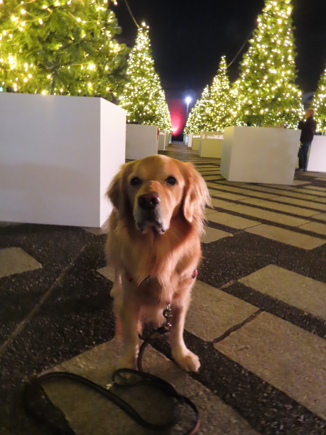 ファイル 8454-3.jpg