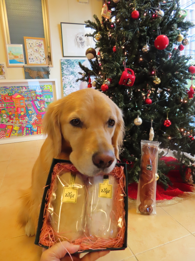 ファイル 8454-5.jpg