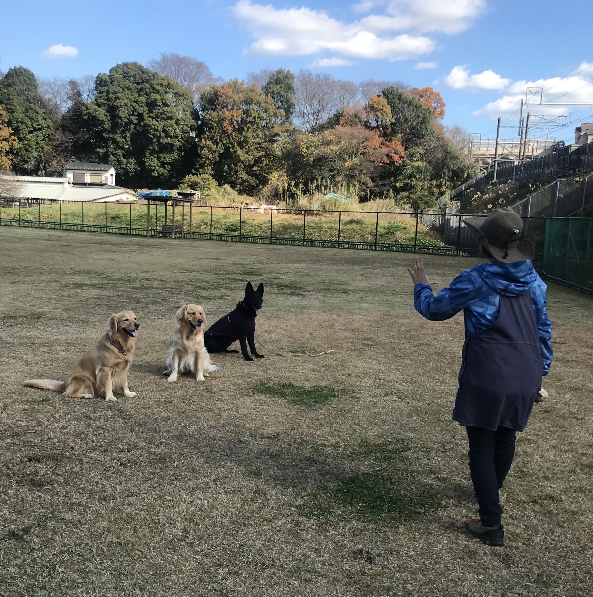 ファイル 8456-2.jpeg