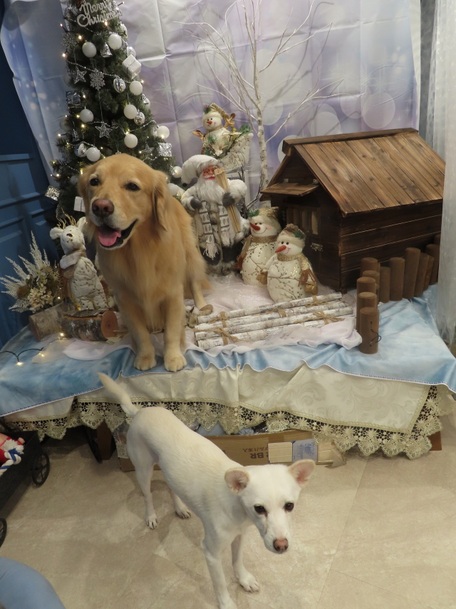 ファイル 8457-3.jpg