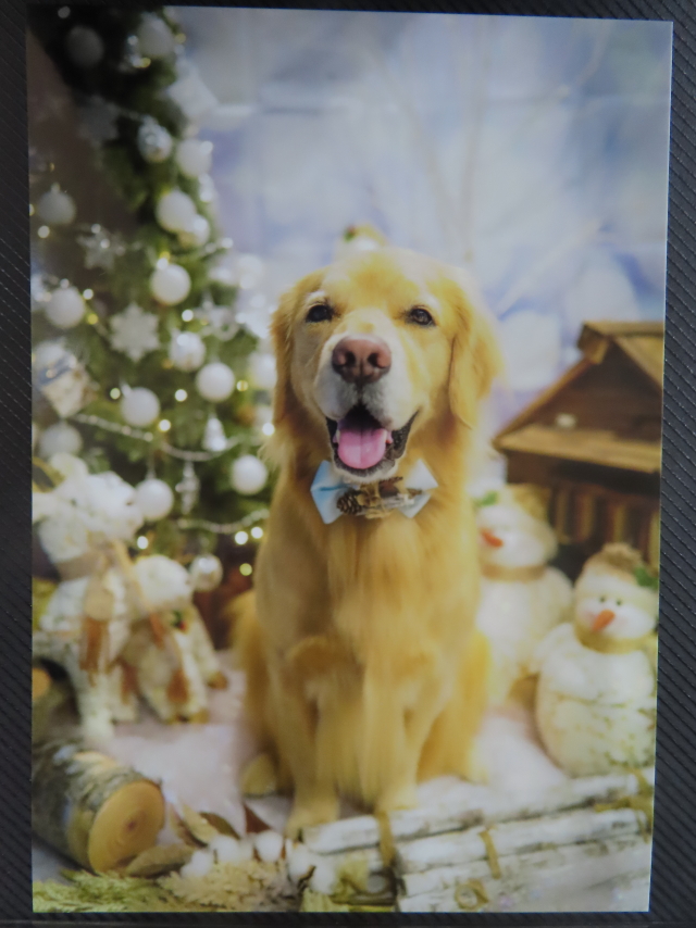 ファイル 8457-4.jpg