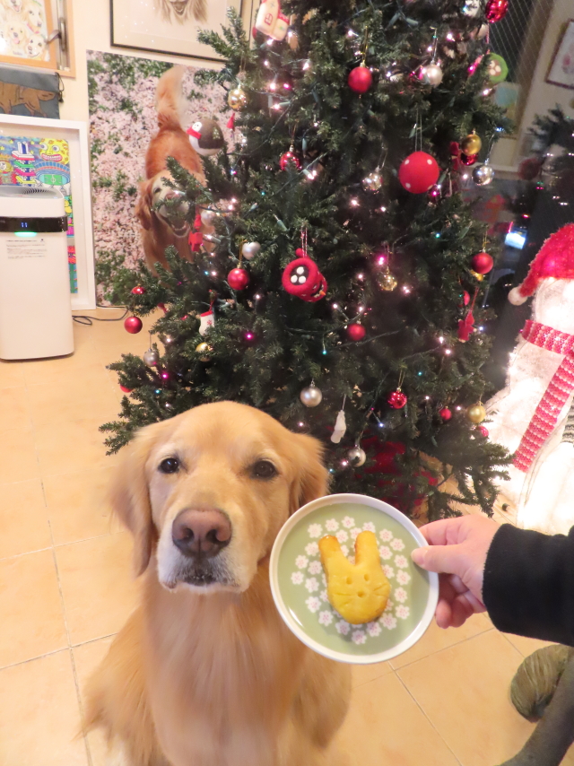 ファイル 8457-5.jpg