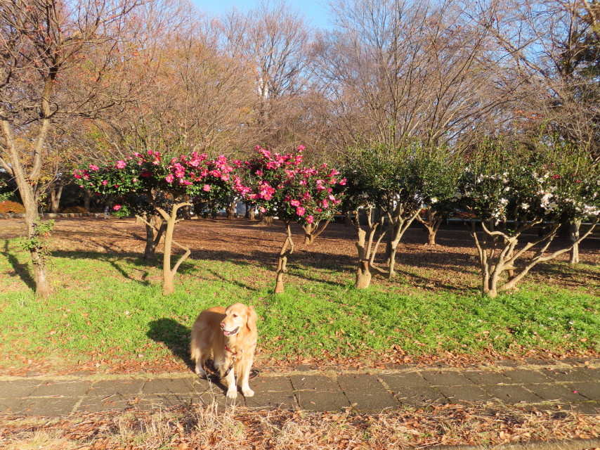 ファイル 8459-2.jpg