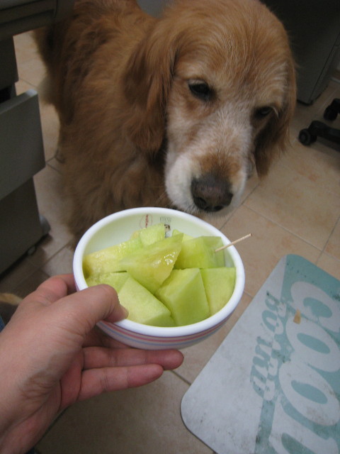 ファイル 846-1.jpg