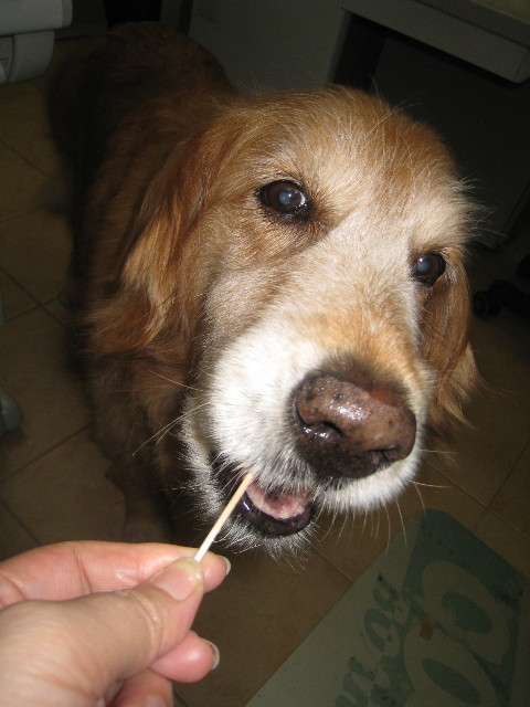 ファイル 846-2.jpg