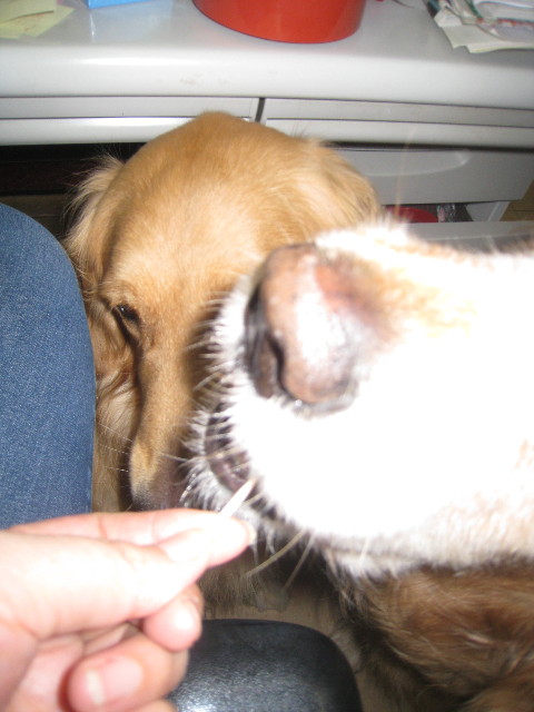 ファイル 846-3.jpg