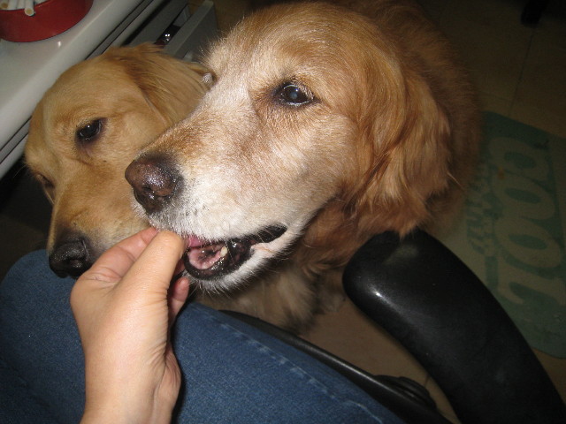 ファイル 846-4.jpg