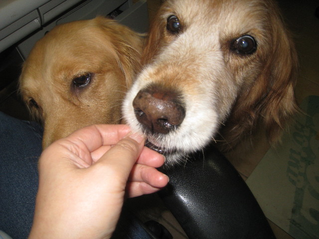 ファイル 846-5.jpg