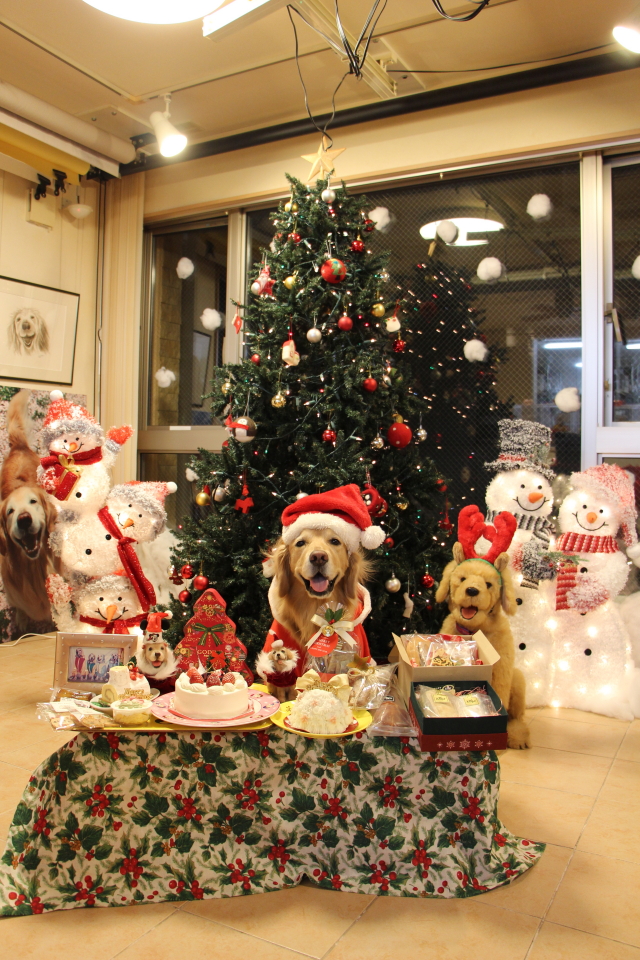 ファイル 8462-2.jpg