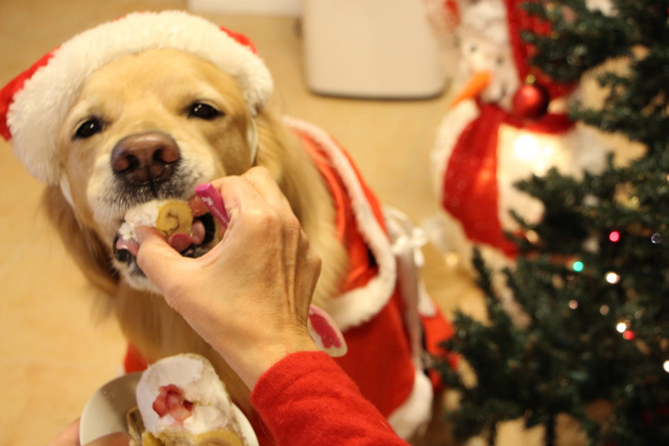 ファイル 8462-4.jpg