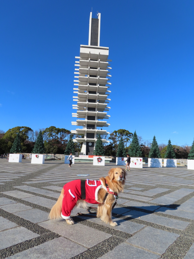 ファイル 8463-1.jpg