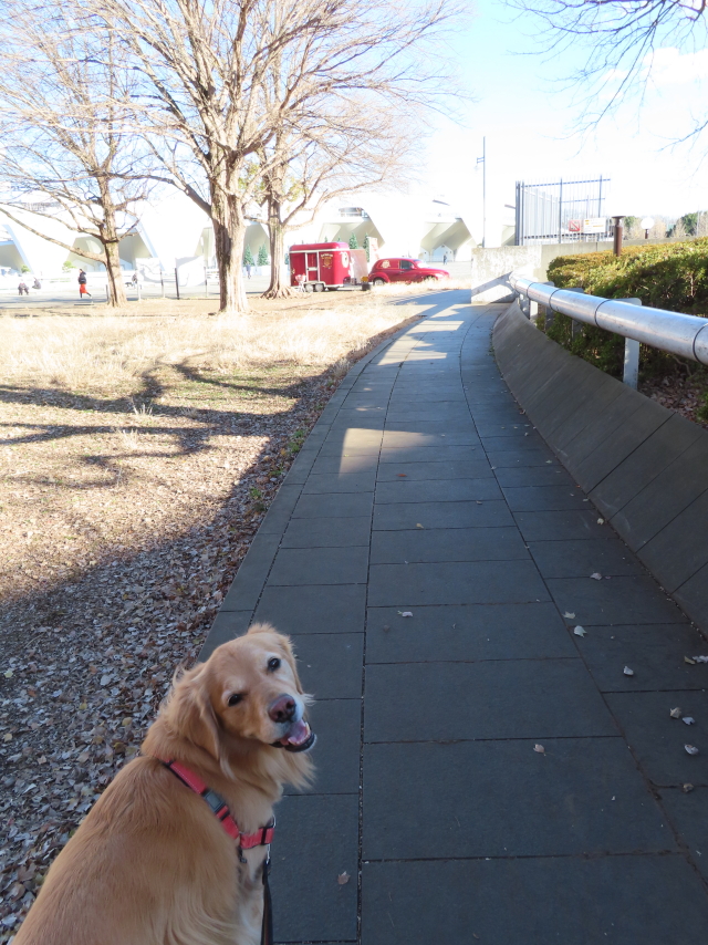 ファイル 8463-5.jpg