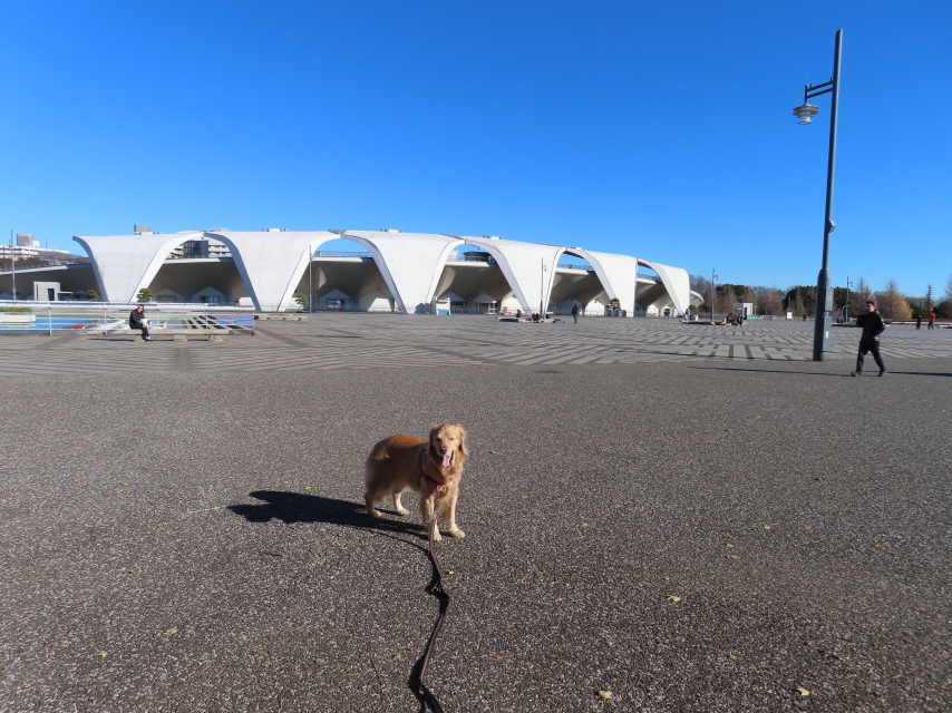 ファイル 8464-3.jpg