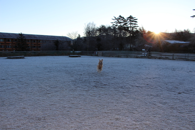 ファイル 8466-1.jpg