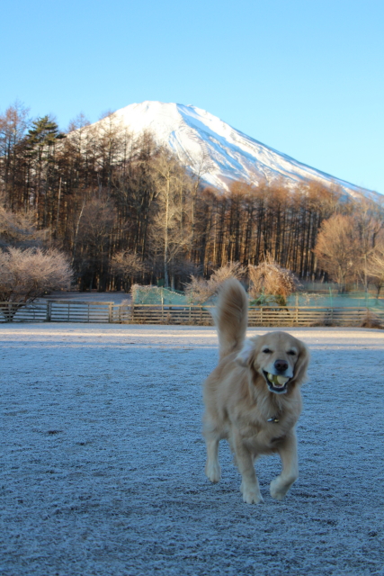 ファイル 8466-3.jpg