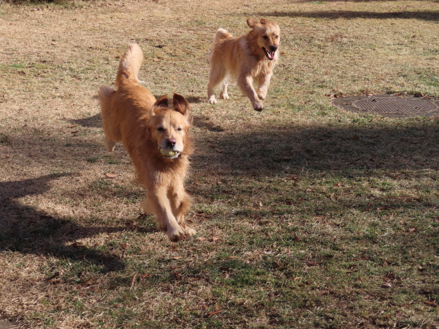 ファイル 8467-1.jpg